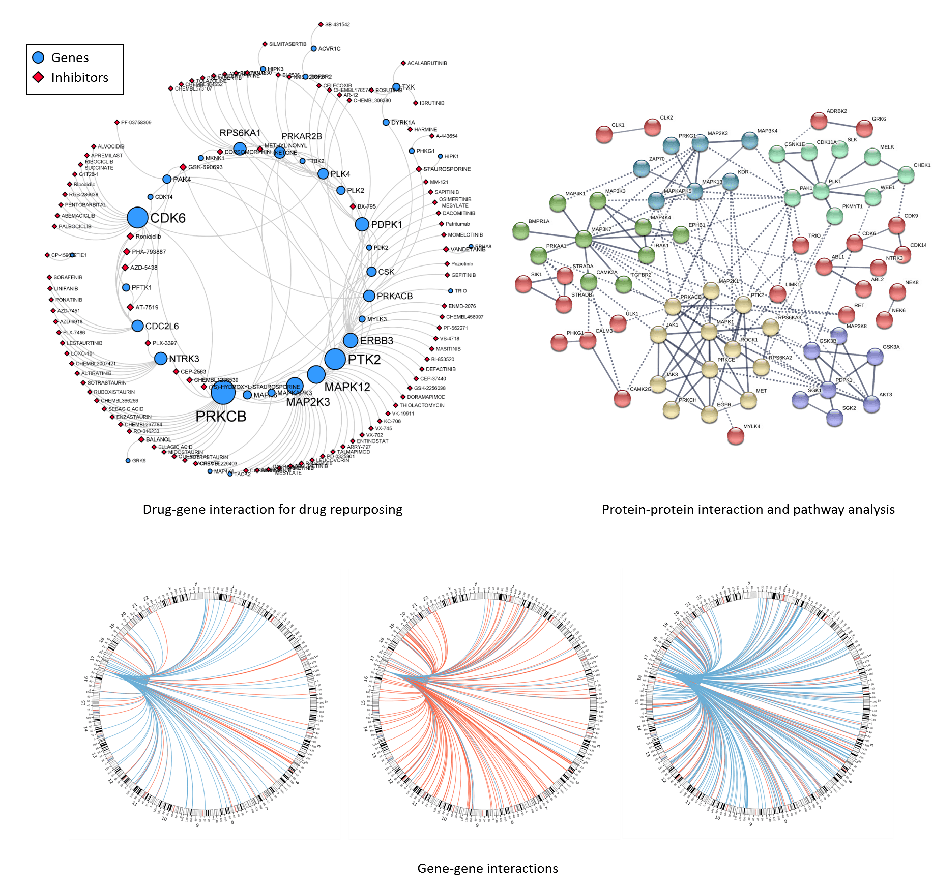 Bioinformatics And Genomic Data Analysis - AGTC Genomics