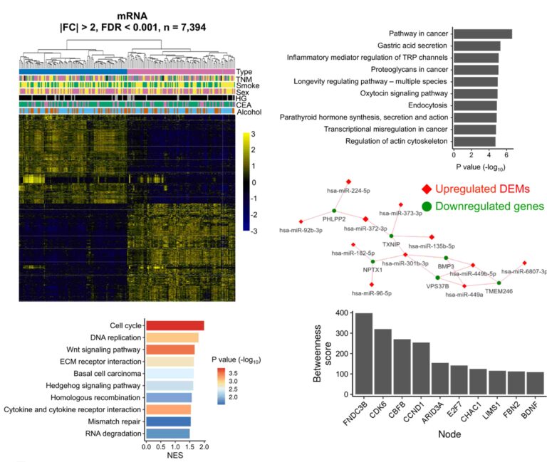 Whole Transcriptome Sequencing - AGTC Genomics